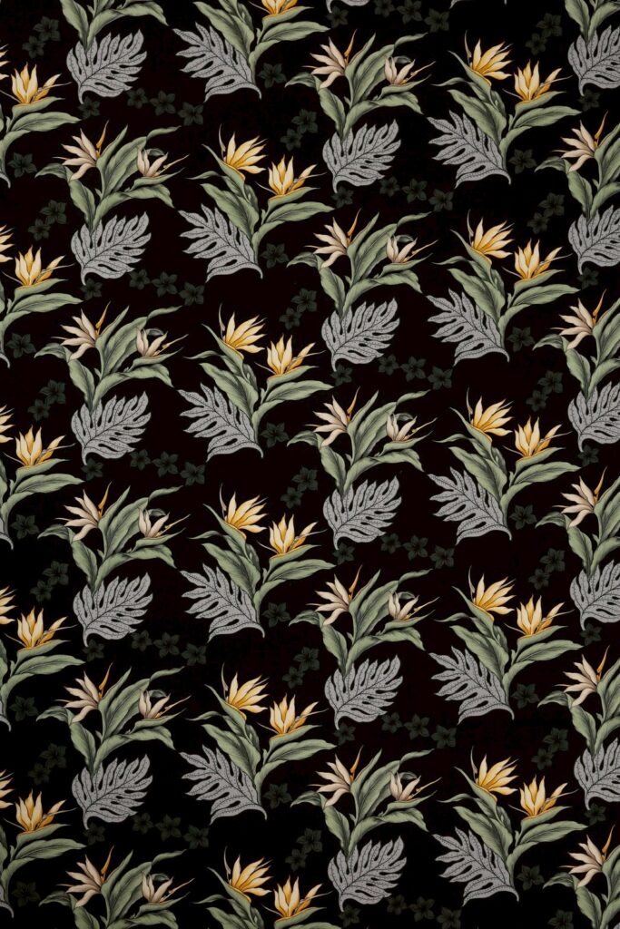 BY REQUEST - BLACK PARADISE MONSTERA